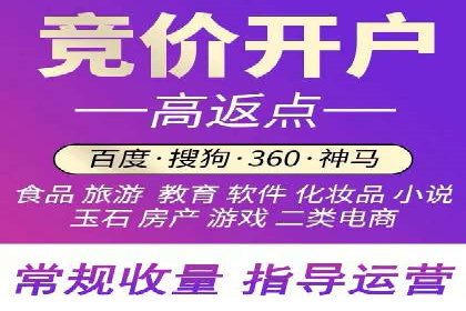 SEM主管案例：广告投放效果提升